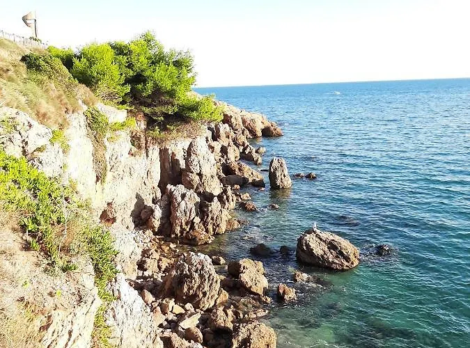 Coeur De - Heart Of Sète